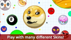 Agar io Mod Apk